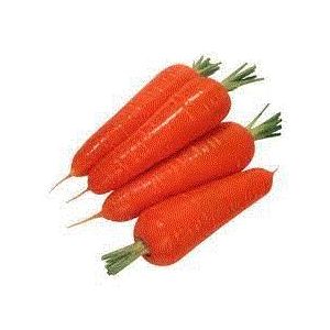 RED CARROT - PAKISTAN