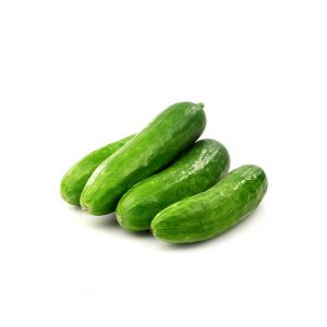 BABY CUCUMBER - JORDAN
