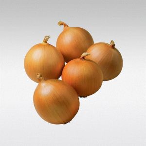 DUTCH ONIONS (SMALL)