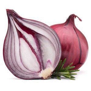 RED ONIONS - SPAIN