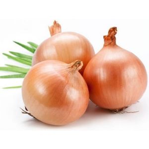 Dutch onions-4kg