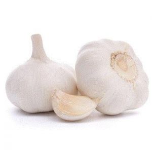 GARLIC - CHINA