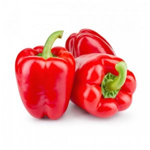  Red capsicum - single