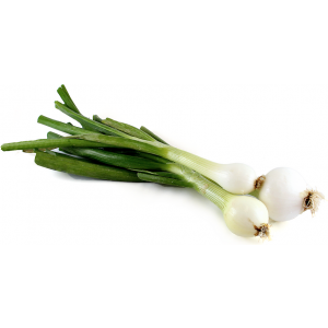 Spring onion-each