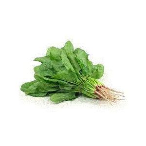 SPINACH - ENGLISH