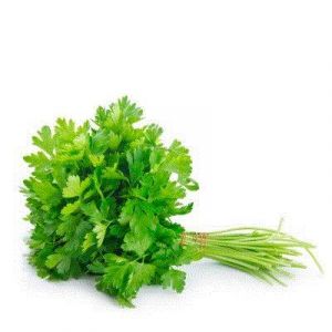PARSLEY - SPAIN