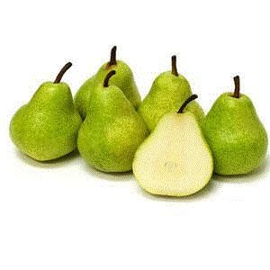 William pears