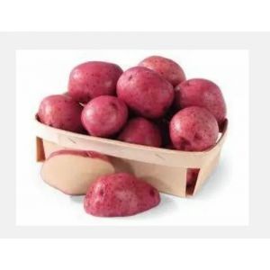Red potato-10kg