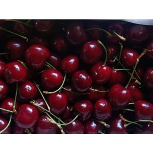 CHERRY PER KG