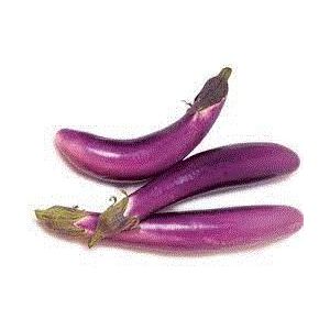 CHINESE AUBERGINE - DOMINICA
