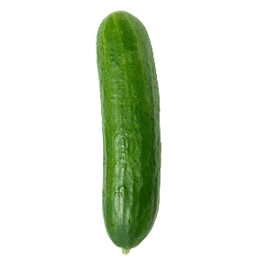 cucumber(single)