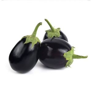 Aubergine Small