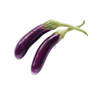 Aubergine large