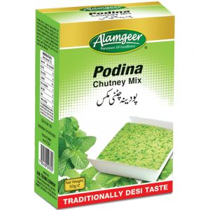 ALAMGEER PODINA CHUTNEY  MIX 50G