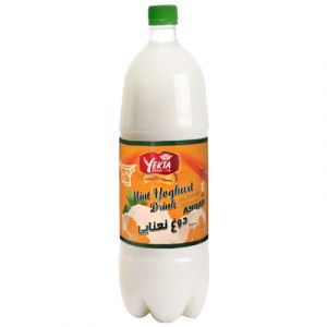 YEKTA MINT YOGHURT DRINK 