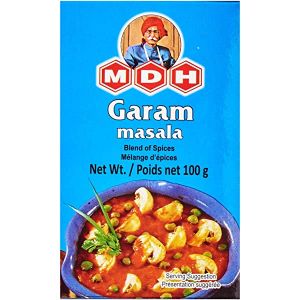 MDH GARAM MASALA 100G