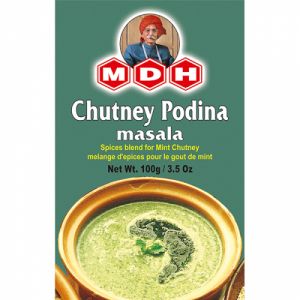 MDH CHUTNEY PODINA MASALA 100G